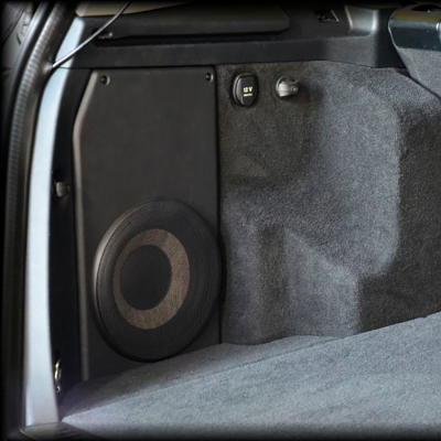 Subwoofer kabinet til 8