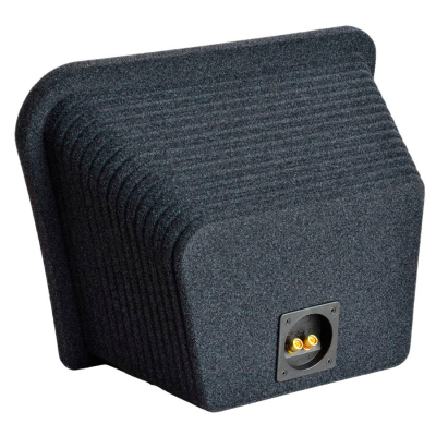 Subwoofer kabinet til 10