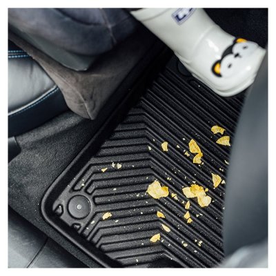 Gummimtter BYD Dolphin Surf 2025-