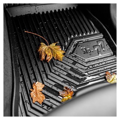 Gummimtter BYD Dolphin Surf 2025-