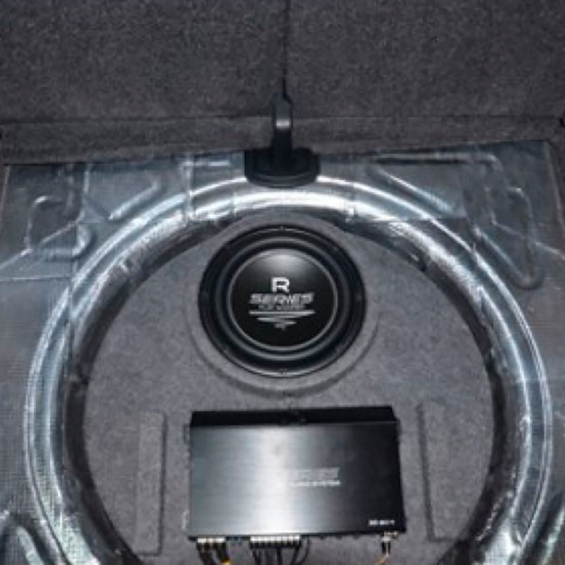 Subwoofer kabinet til 10