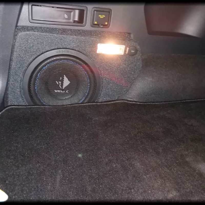 Subwoofer kabinet til 10