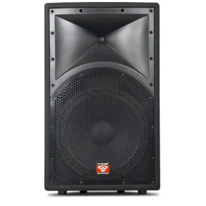 Cerwin Vega INT-152V2 PA 2V Fullrange h�jtaler 15