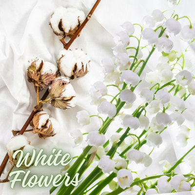 K2 Cayon white flower duftfrisker p� spray 250 ml