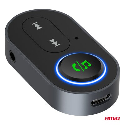 Mini jack Modtager AMIO-04658