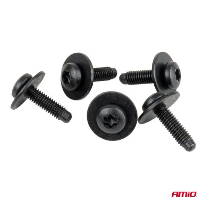 Torx skrue- og underlagskamps�t ⌀ 6 mm 23 mm, 5 s�t AMIO-05042