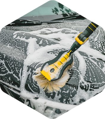 Bilhåndvaskebørste PREMIUM