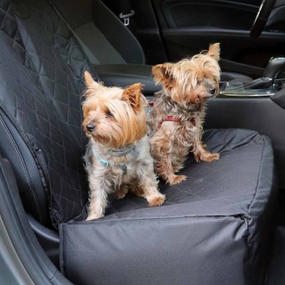 Hund bil booster sæde og beskyttelse 2 i 1