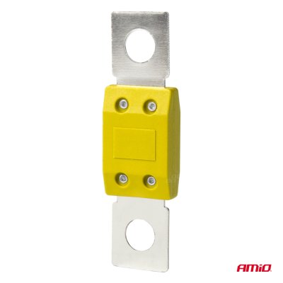 Bil MEGAVAL sikringer 100A AMIO-03463