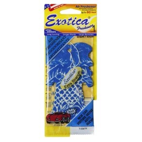 Exotica Duft palme New car